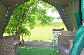 hippo island okavango delta