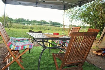 hippo island okavango delta