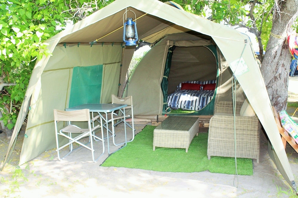 hippo island okavango delta