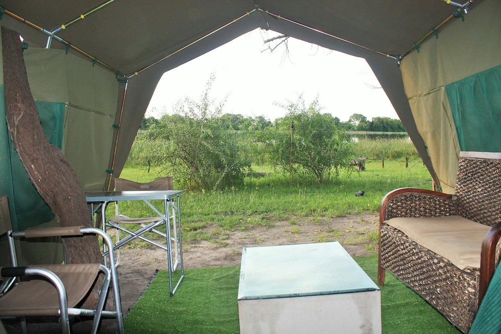 hippo island okavango delta