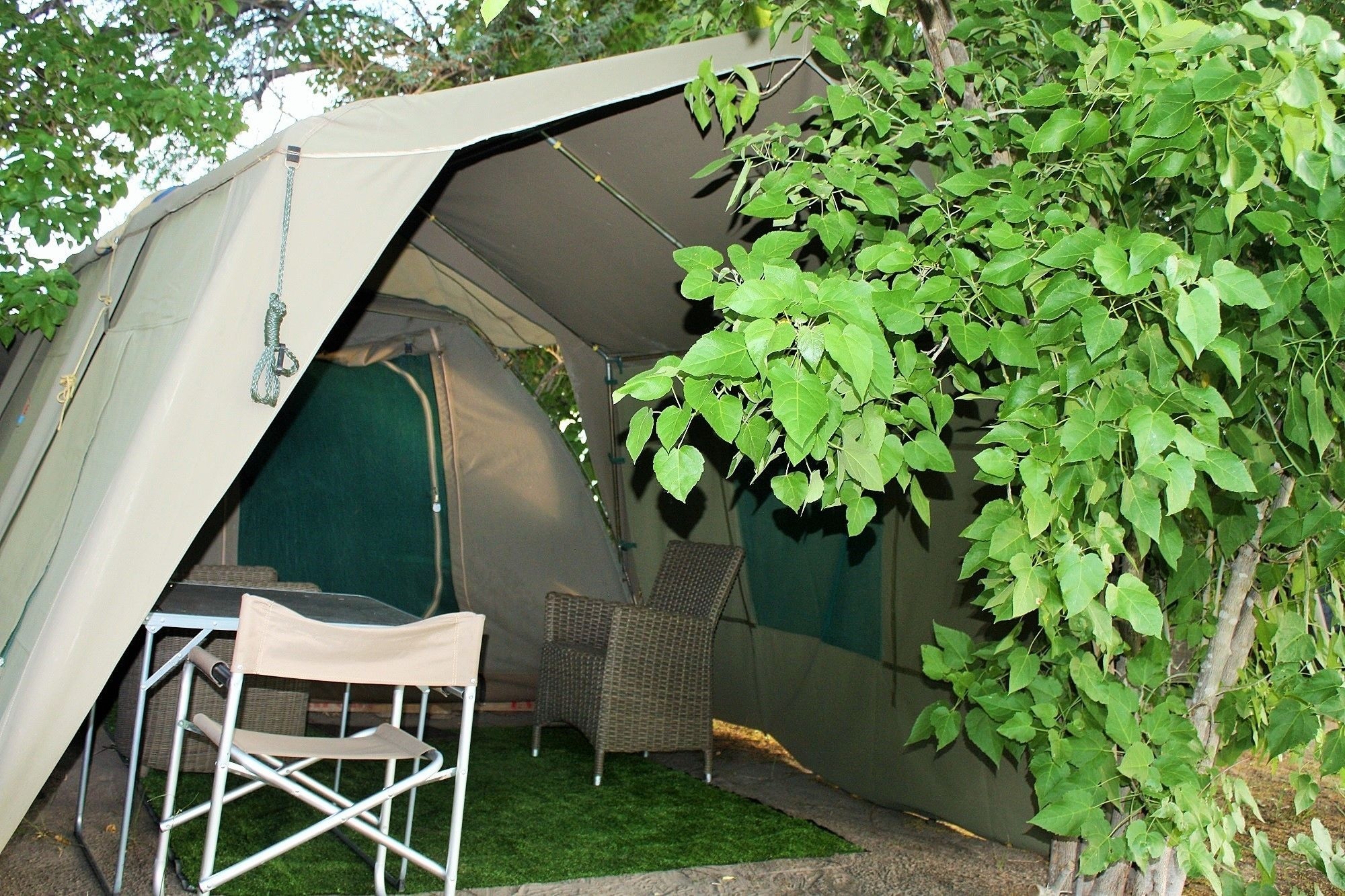 hippo island okavango delta