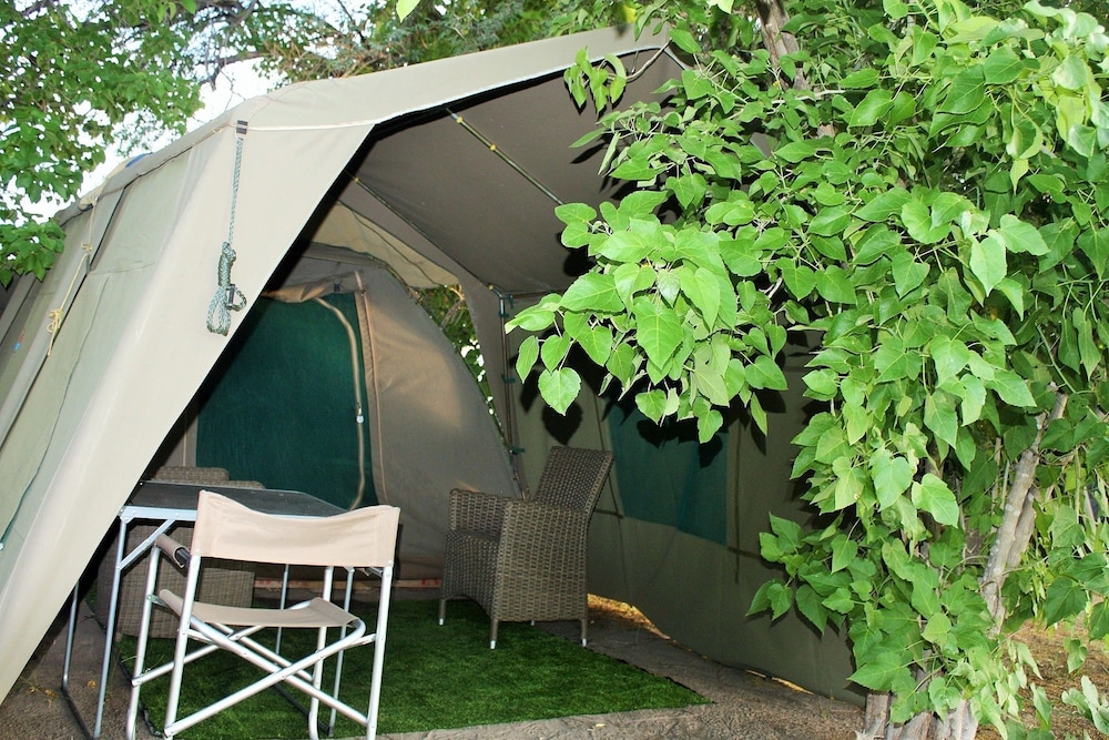 hippo island okavango delta