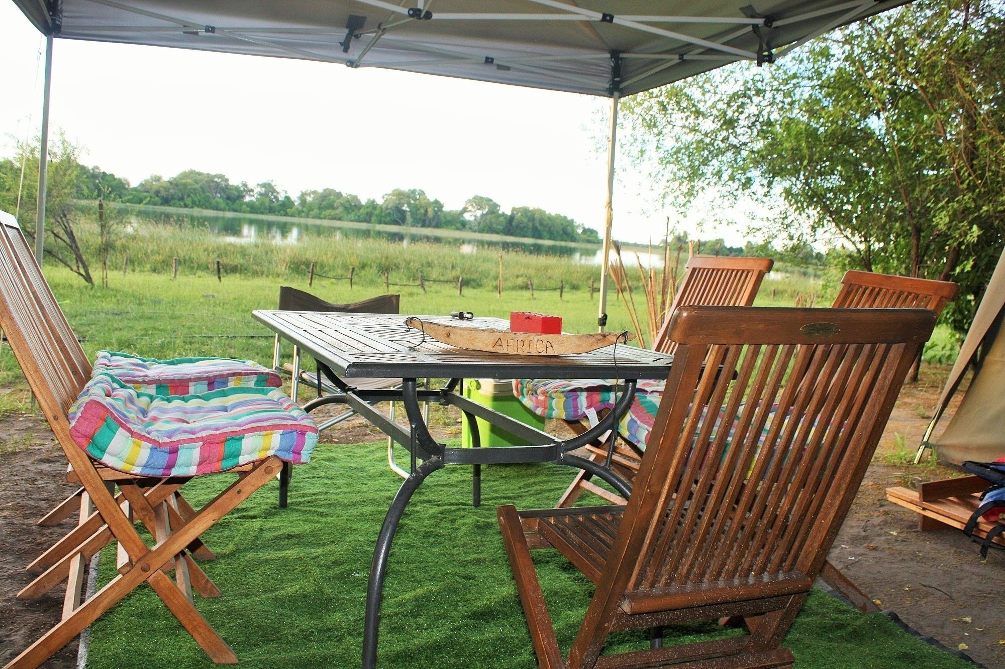 hippo island okavango delta