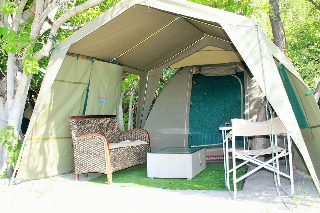 hippo island okavango delta