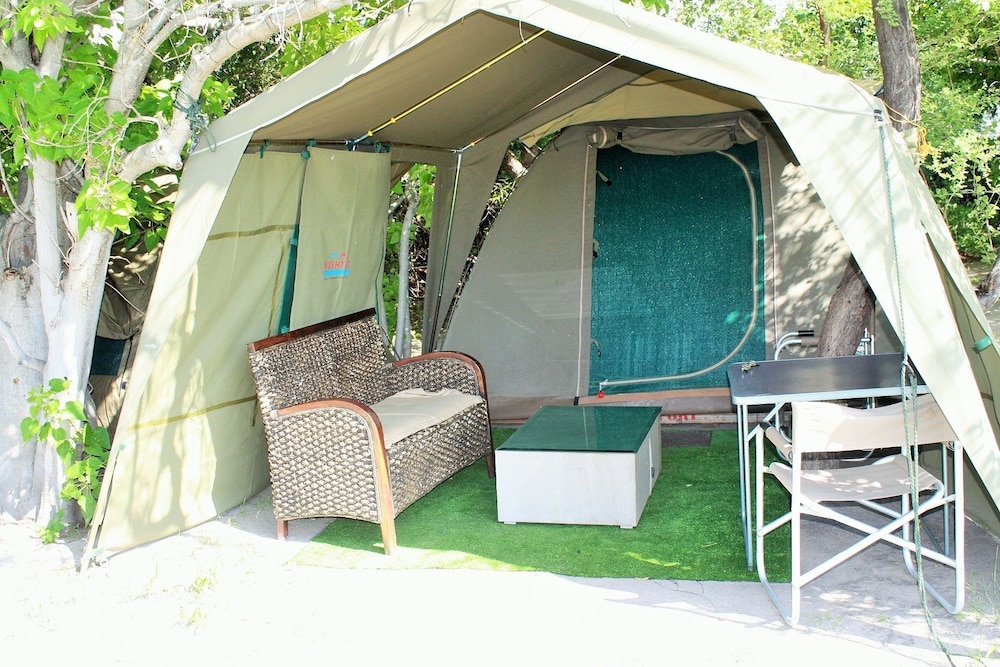 hippo island okavango delta