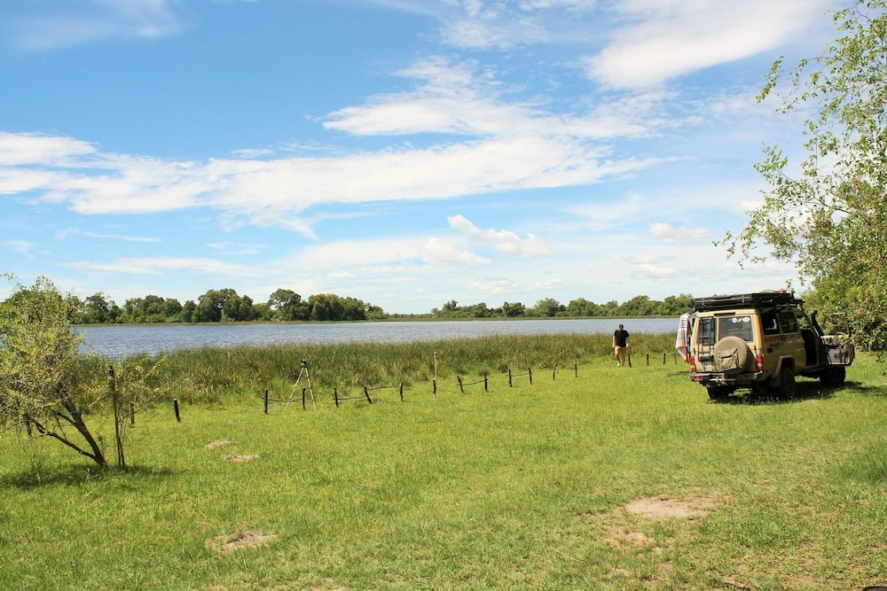 hippo island okavango delta