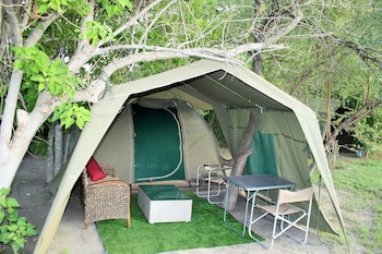 hippo island okavango delta