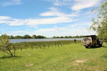 hippo island okavango delta