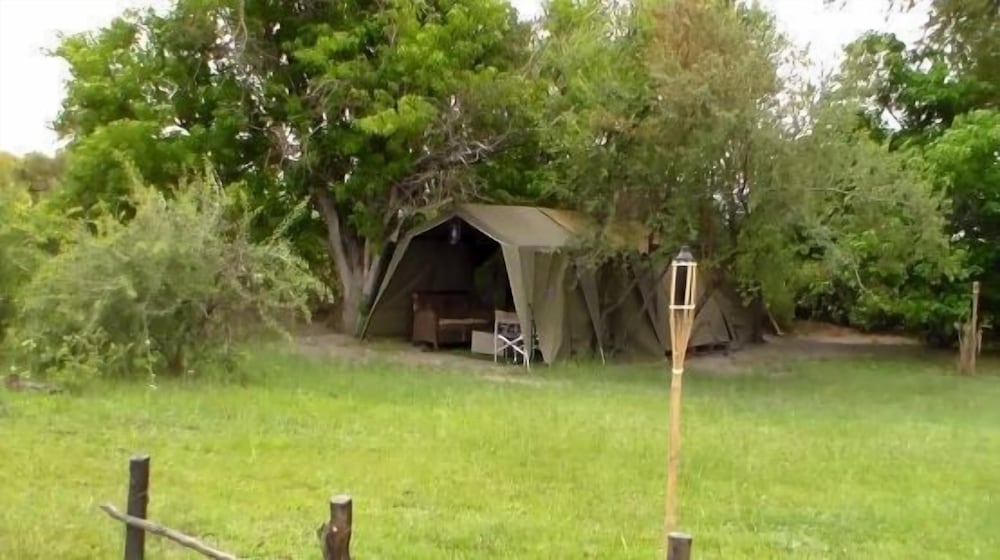 hippo island okavango delta