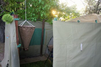hippo island okavango delta