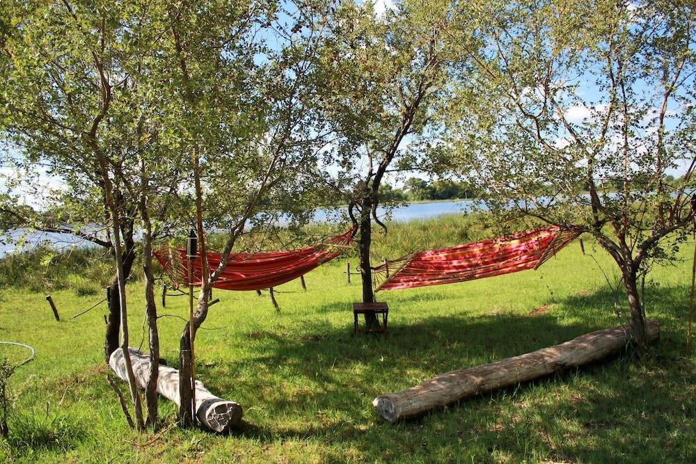 hippo island okavango delta