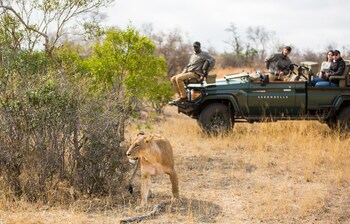 serondella game lodge