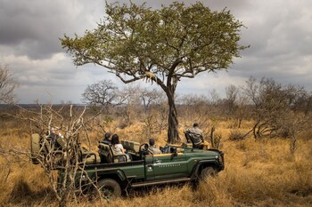 serondella game lodge