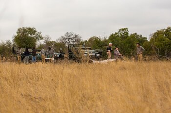 serondella game lodge