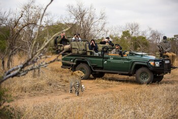 serondella game lodge