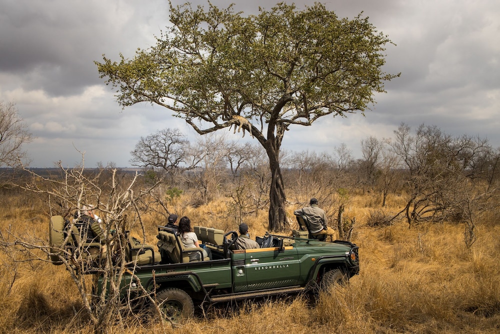 serondella game lodge