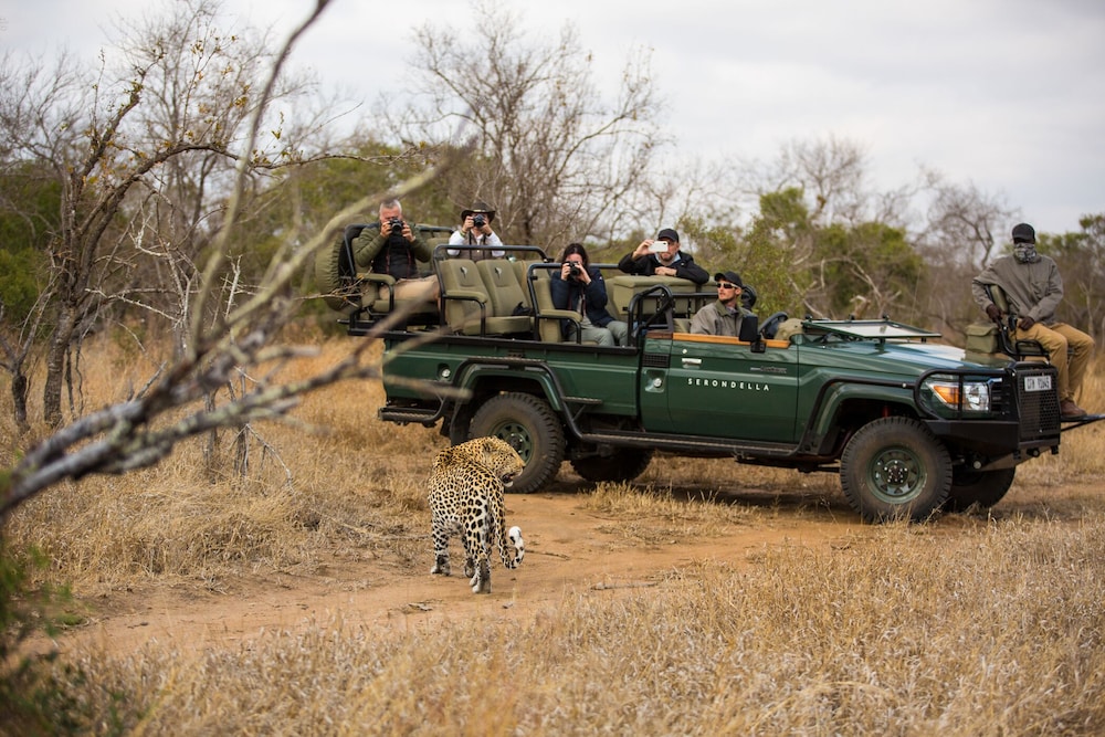 serondella game lodge