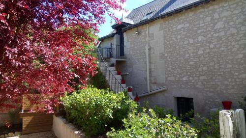 sainte maure de touraine