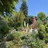 sainte maure de touraine