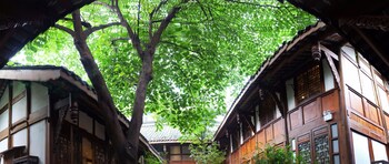 demen renli hotel