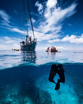 coral sea dreaming dive and sail