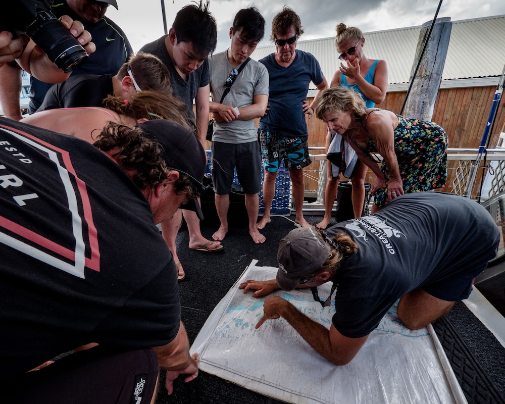 coral sea dreaming dive and sail