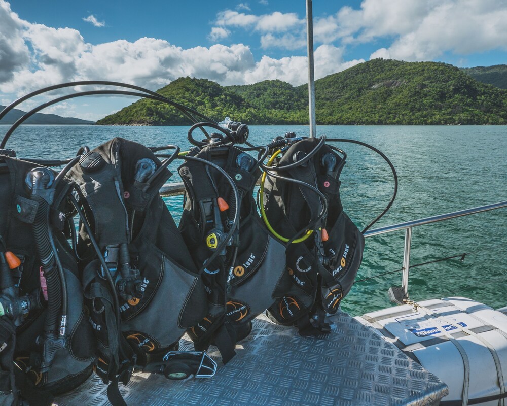coral sea dreaming dive and sail