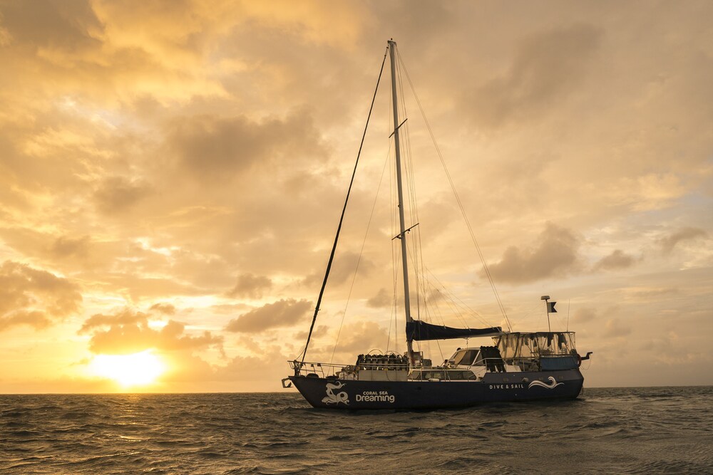 coral sea dreaming dive and sail