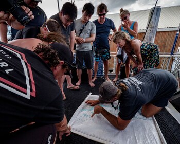 Coral Sea Dreaming Dive And Sail,Kuranda>>Cairns,2 star