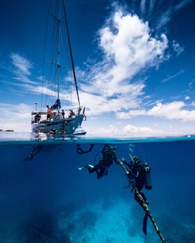 coral sea dreaming dive and sail