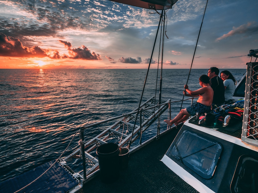 coral sea dreaming dive and sail