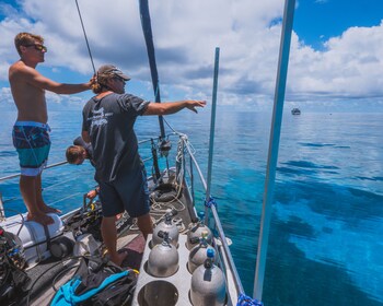 coral sea dreaming dive and sail