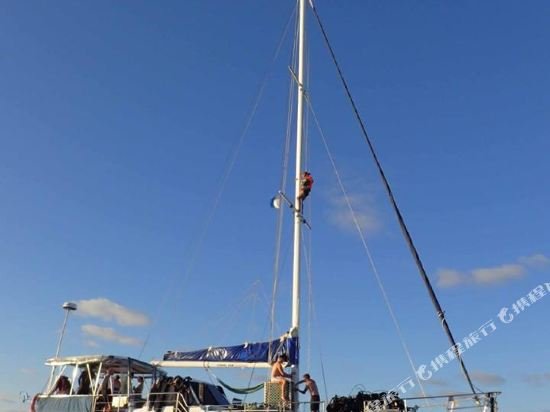 coral sea dreaming dive and sail