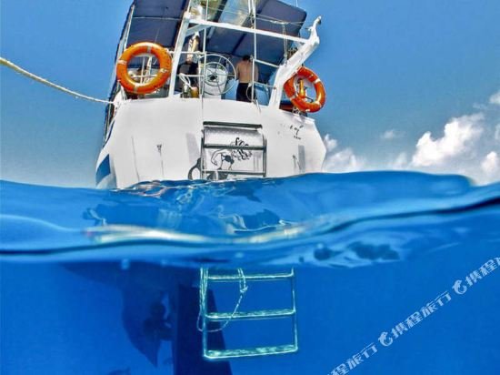 coral sea dreaming dive and sail