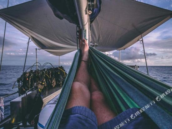 coral sea dreaming dive and sail