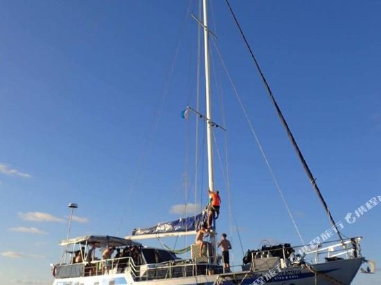 coral sea dreaming dive and sail