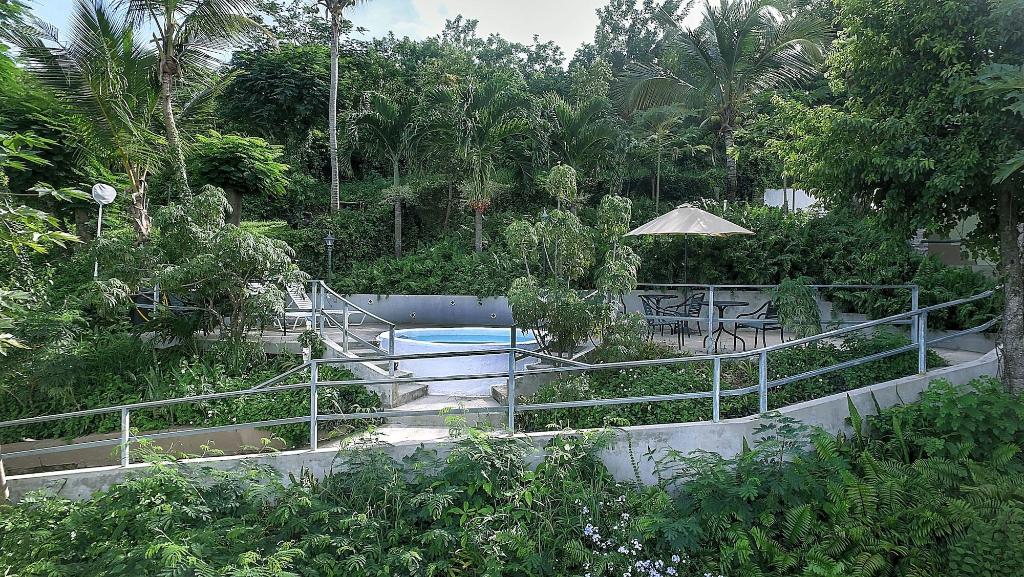 vieques