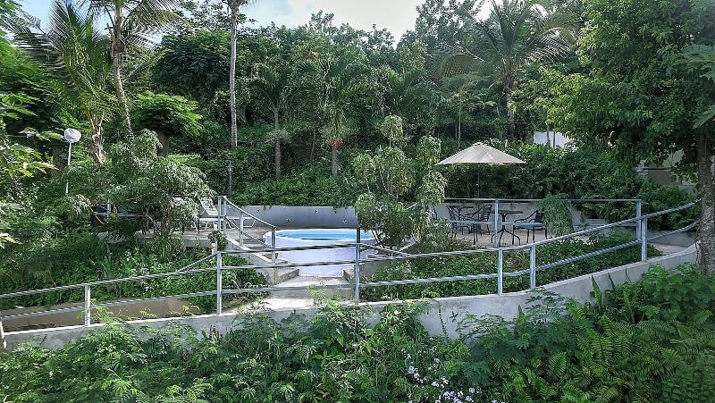 vieques