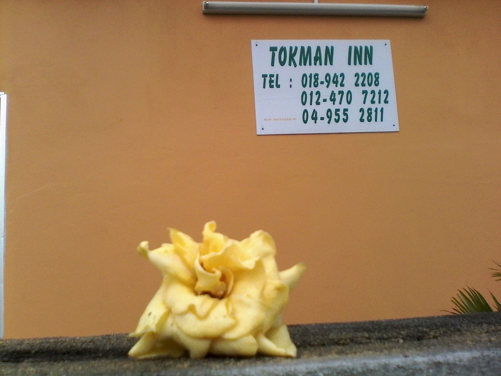 tok man inn