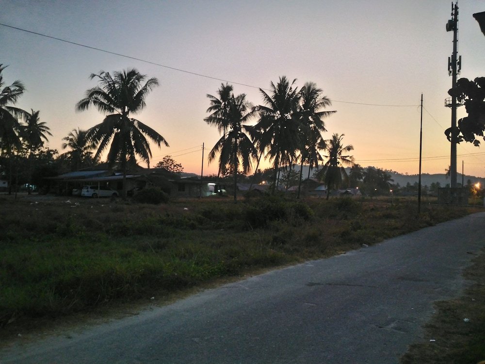 tok man inn