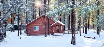 catalina creekside cabin 372