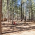 catalina creekside cabin 372