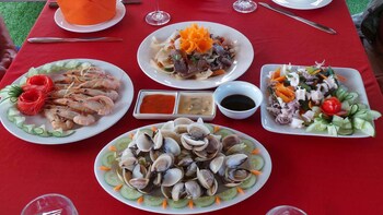 ocean cruise