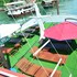 ocean cruise