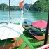 ocean cruise