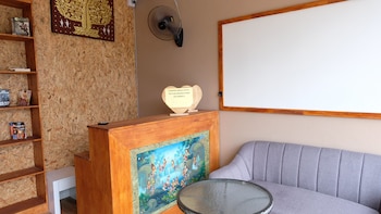 fruitopia hostel adults only