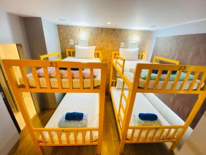 fruitopia hostel adults only
