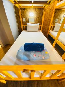 fruitopia hostel adults only