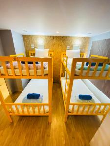 fruitopia hostel adults only