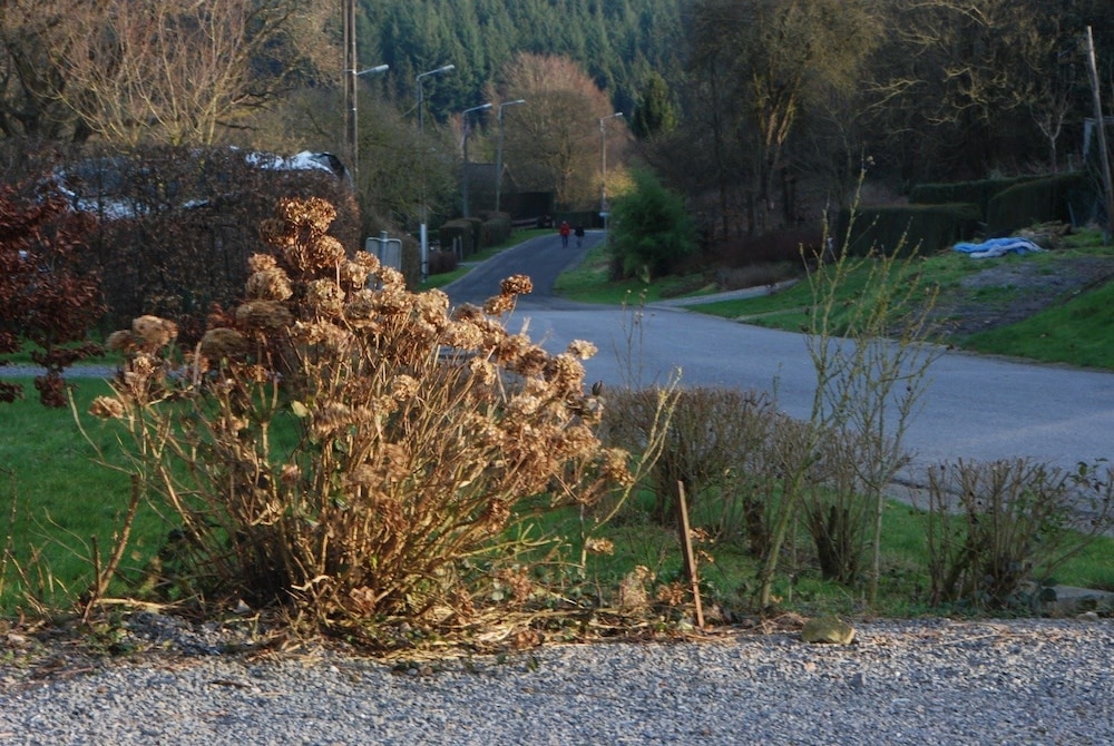 gte les trois voisins